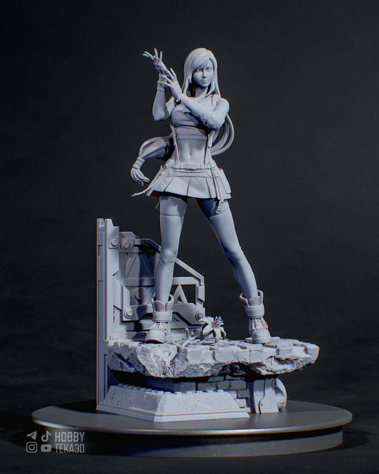 Anime Figure – Unpainted Resin Figure, Action Figure, inspired by Final Fantasy VII – Martialist